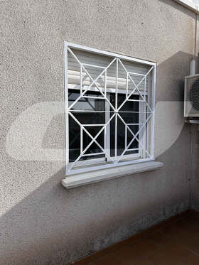 CONJUNTO DE REJA + PUERTA